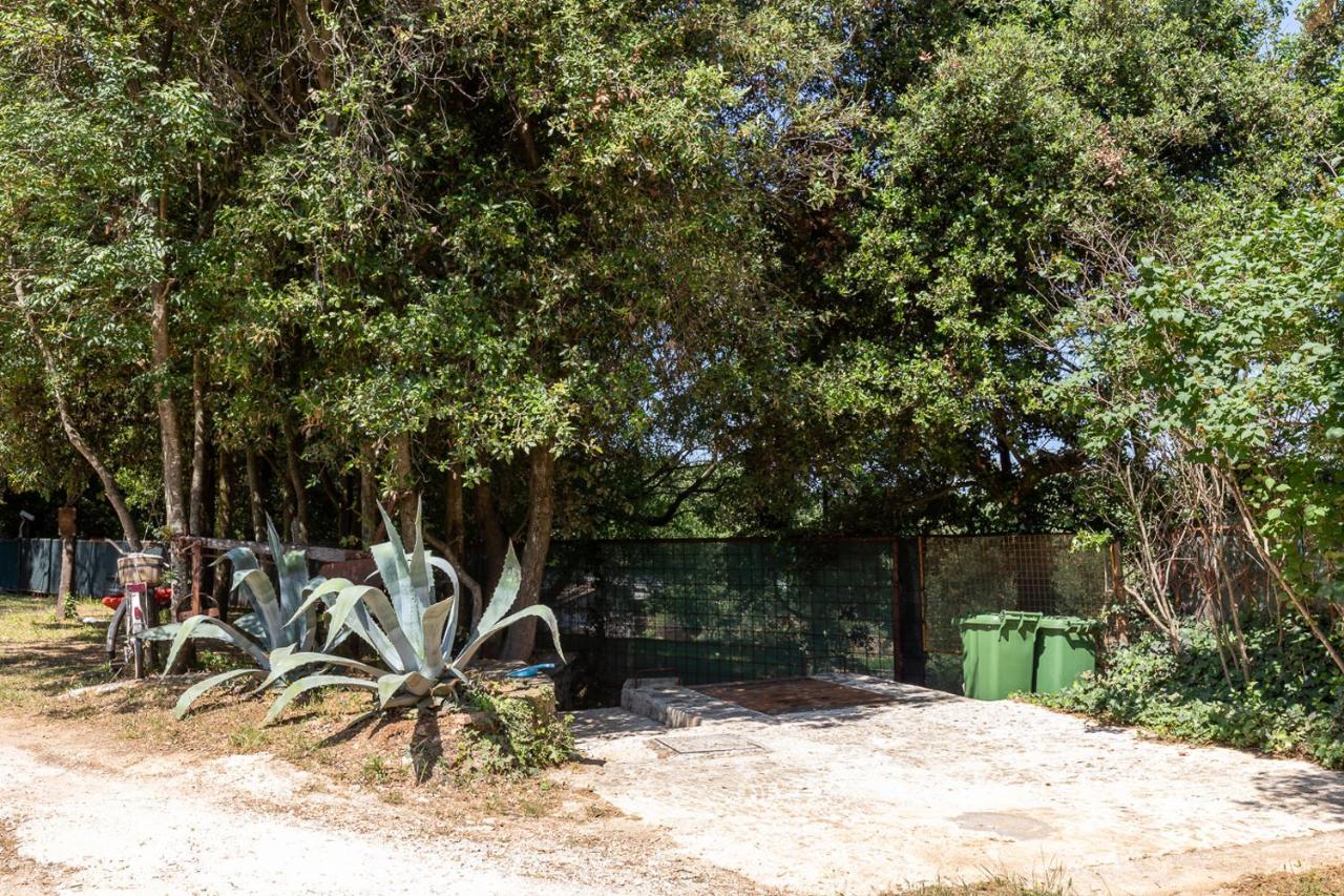 Holiday House Hana Rovinj Luaran gambar